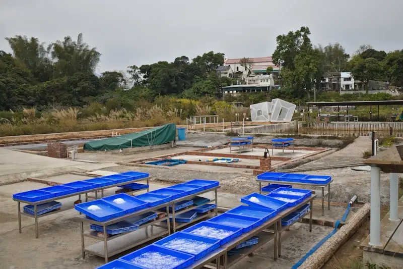 Swimming pool construction